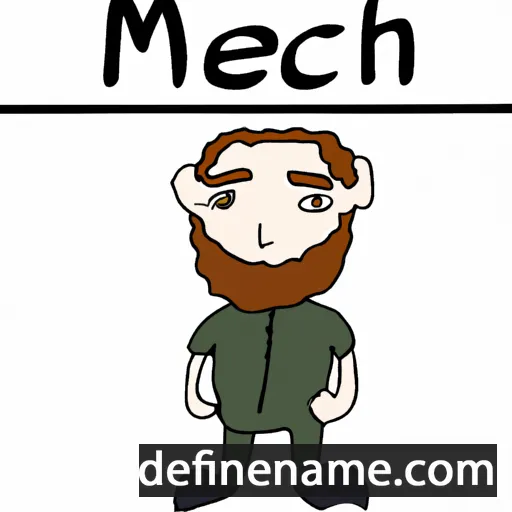 Meilech cartoon