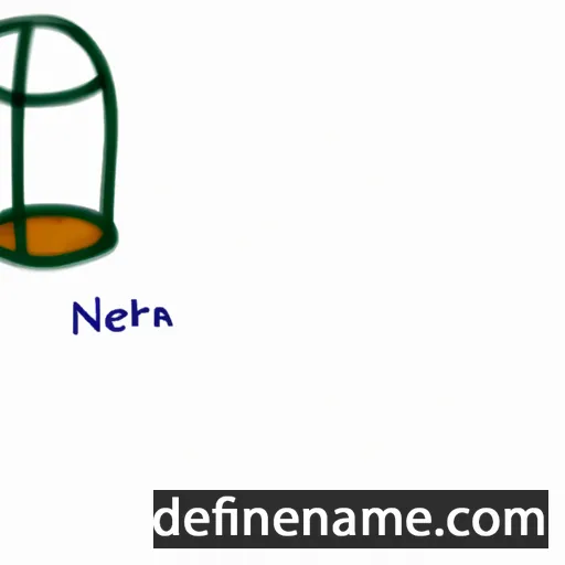 Netra cartoon