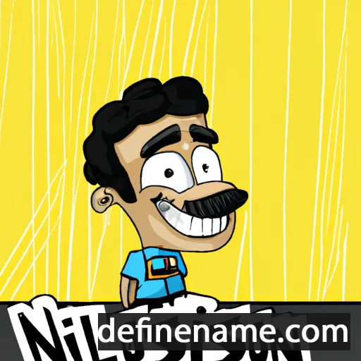 cartoon of the name Nilson