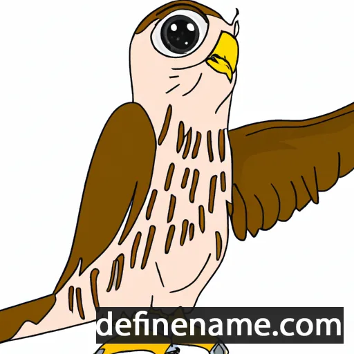 Kestrel cartoon