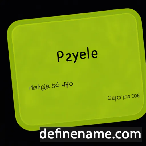 Payzlie cartoon