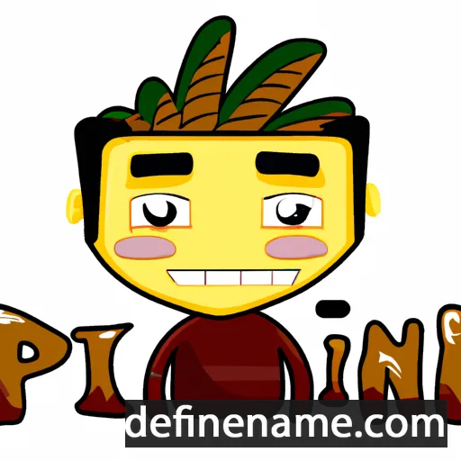 cartoon of the name Pinan