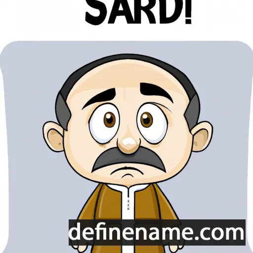 Sadri cartoon