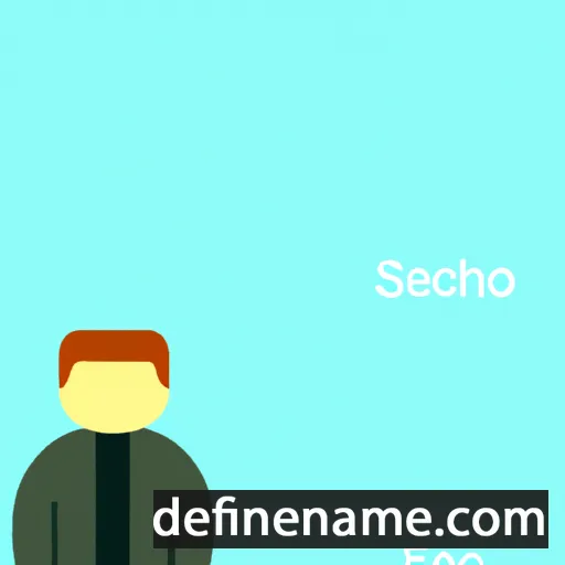 Sechio cartoon