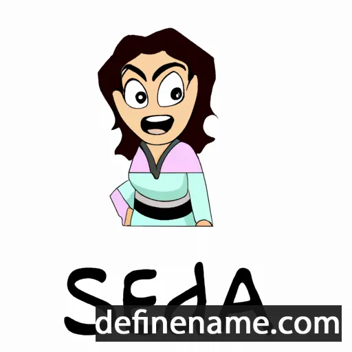 cartoon of the name Seida