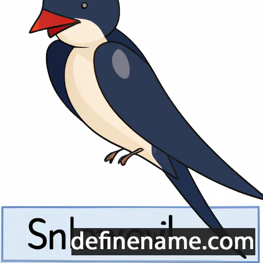 cartoon of the name Swallow