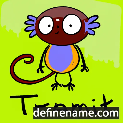 Tamarin cartoon