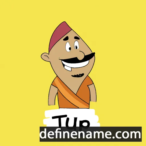 Tipu cartoon