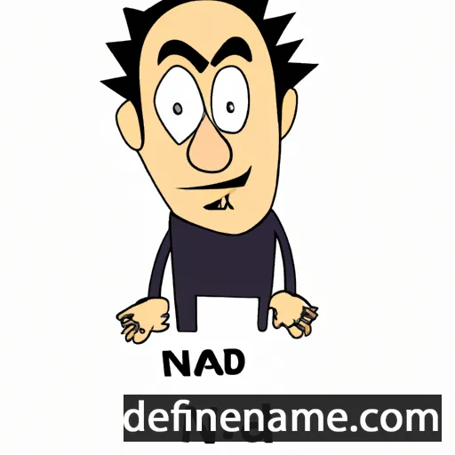 cartoon of the name Nadir