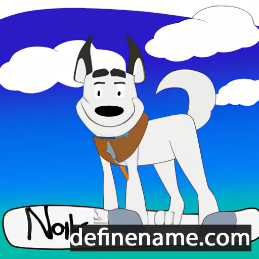 cartoon of the name Nanook