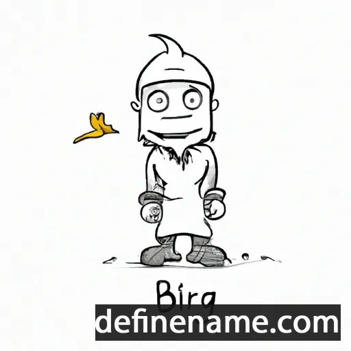 cartoon of the name Birnir