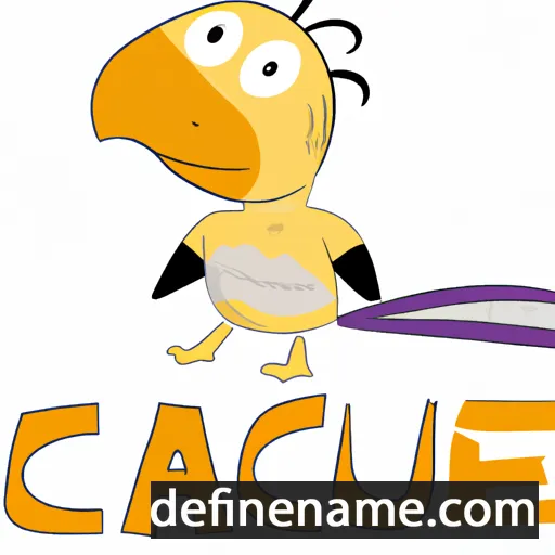 cartoon of the name Caique