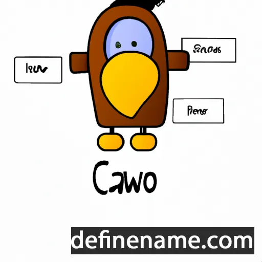 cartoon of the name Cawo