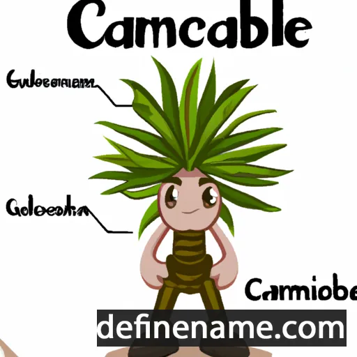 cartoon of the name Dracaena