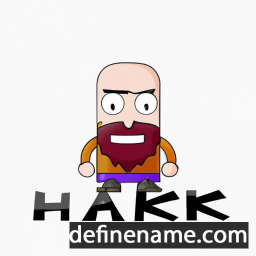 cartoon of the name Haukr